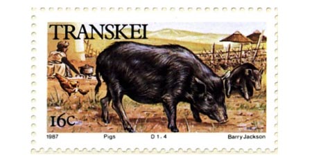 Transkei rural scene postage stamp