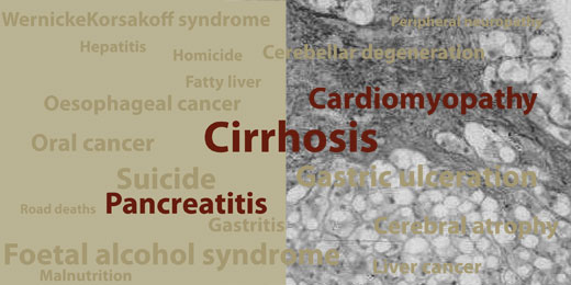 Graphic showing alcohol-related diseases