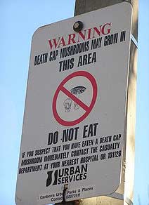 Photograph of Australian warning poster, poisonous mushrooms