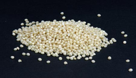 Millet seeds.