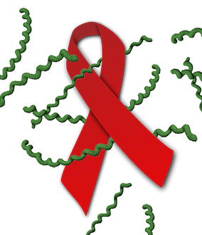 Red HIV/AIDS awareness ribbon image, with spirochaete.