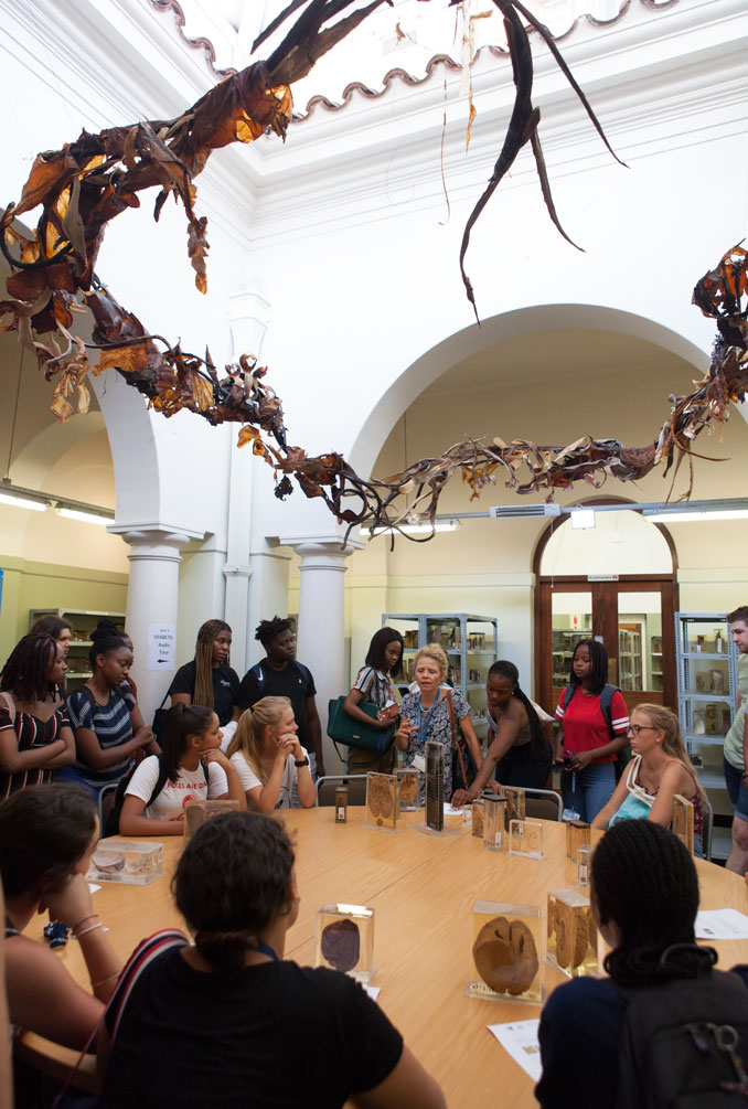 Photograph of the sculpture Ouroboros in the UCT Pathology Learning Centre, with 3rd year Physiotherapy students