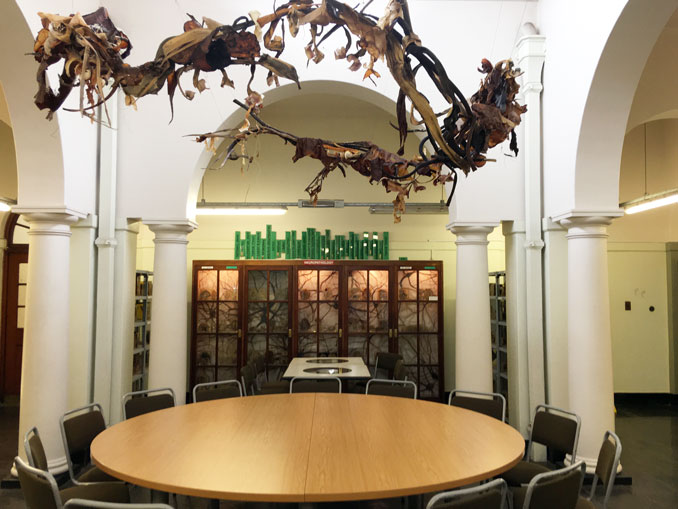 Photograph of the sculpture Ouroboros in the UCT Pathology Learning Centre