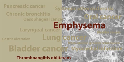 Graphic showing tobacco-related diseases