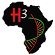 H3 Africa