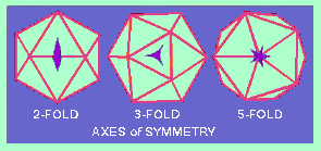 Axes of Symmetry