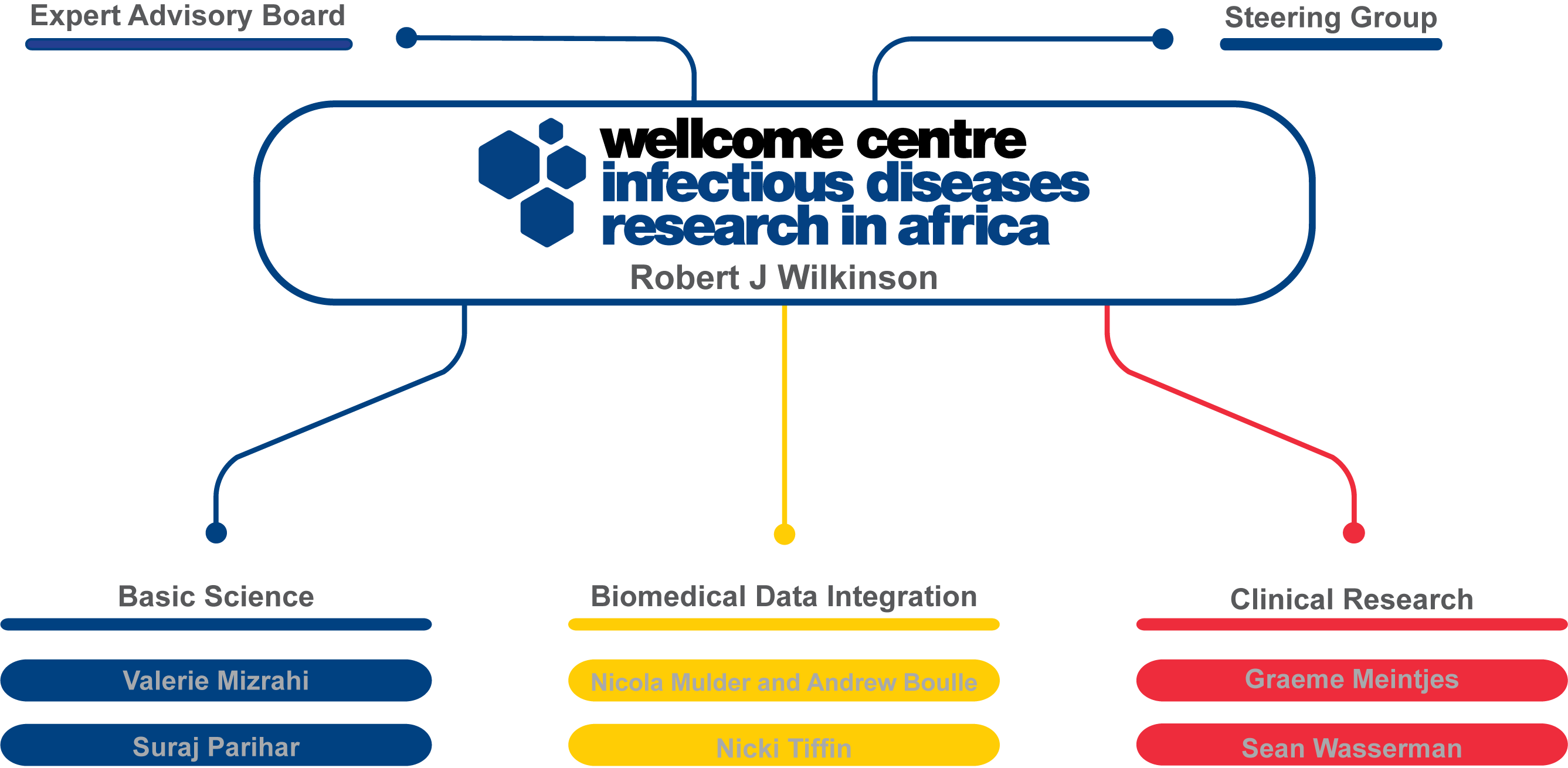 Diagram of CIDRI-Africa governance structure