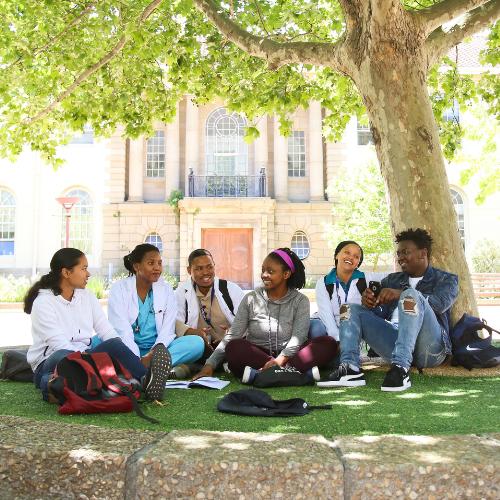 Undergraduate Programmes button