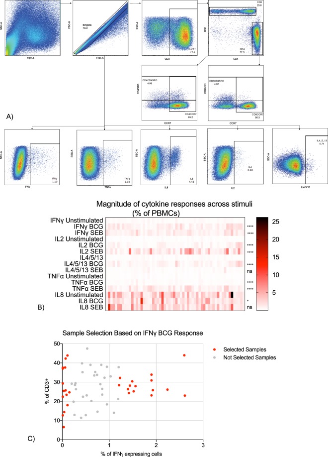 Differential DNA methylation of potassium channel KCa3.1 and immune signalling pathways is associated with infant immune responses following BCG vaccination 