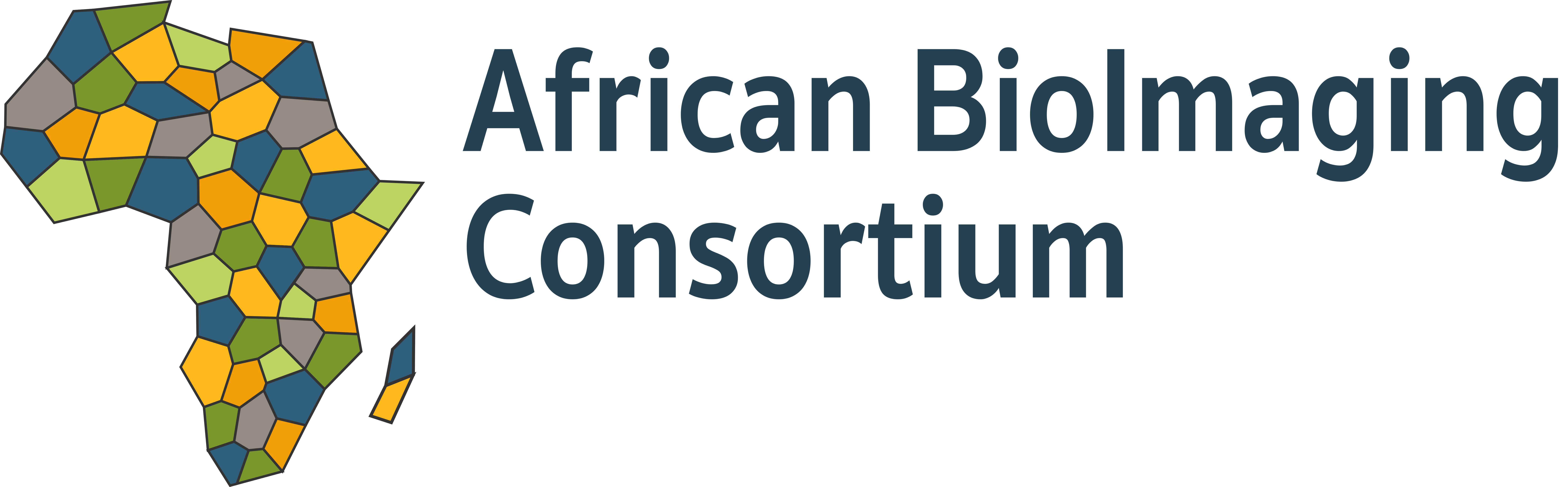 African BioImaging Consortium Logo