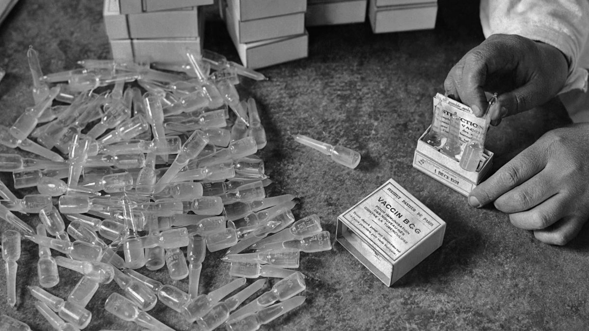 Renewing the Fight Against TB with an Old Vaccine