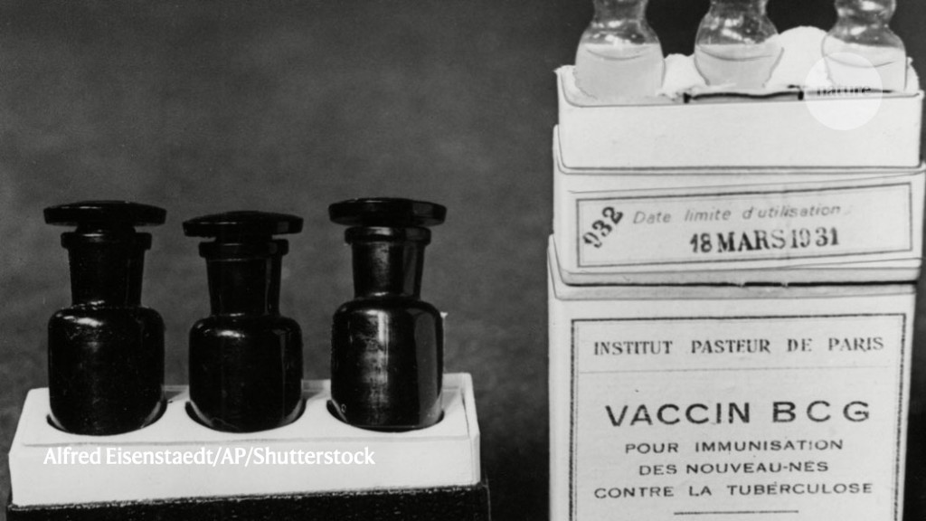 BCG Vaccine
