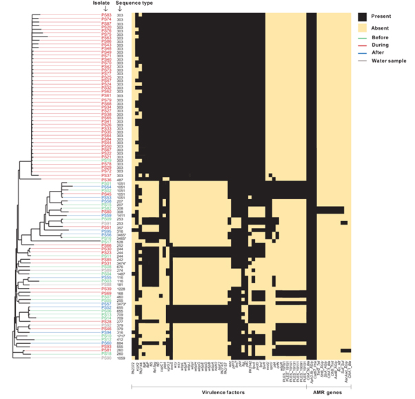 dendrogram