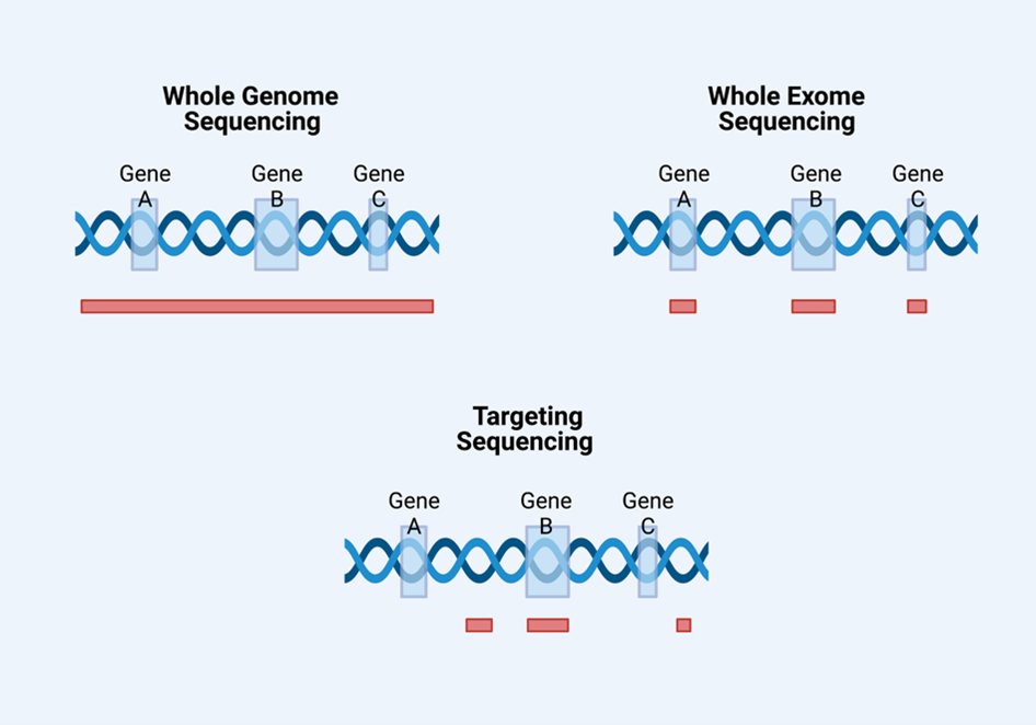 DNA Sequencing Fig 1