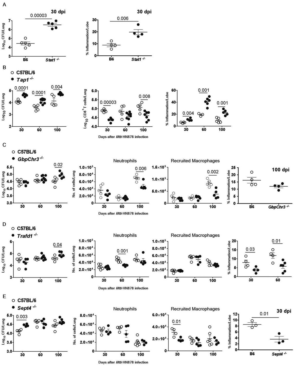 ig.5. Genes in the 16-gene ACS signature that mediate protective immune responses in the mouse model