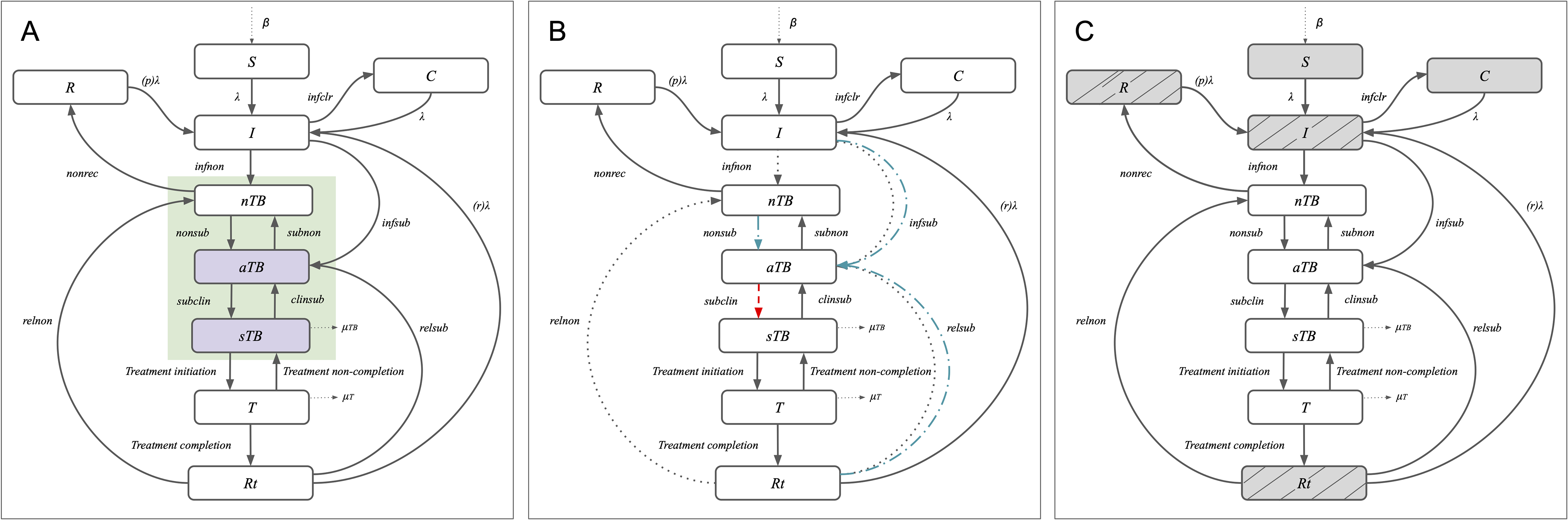 MOdelling TB Plos one Feb 2026