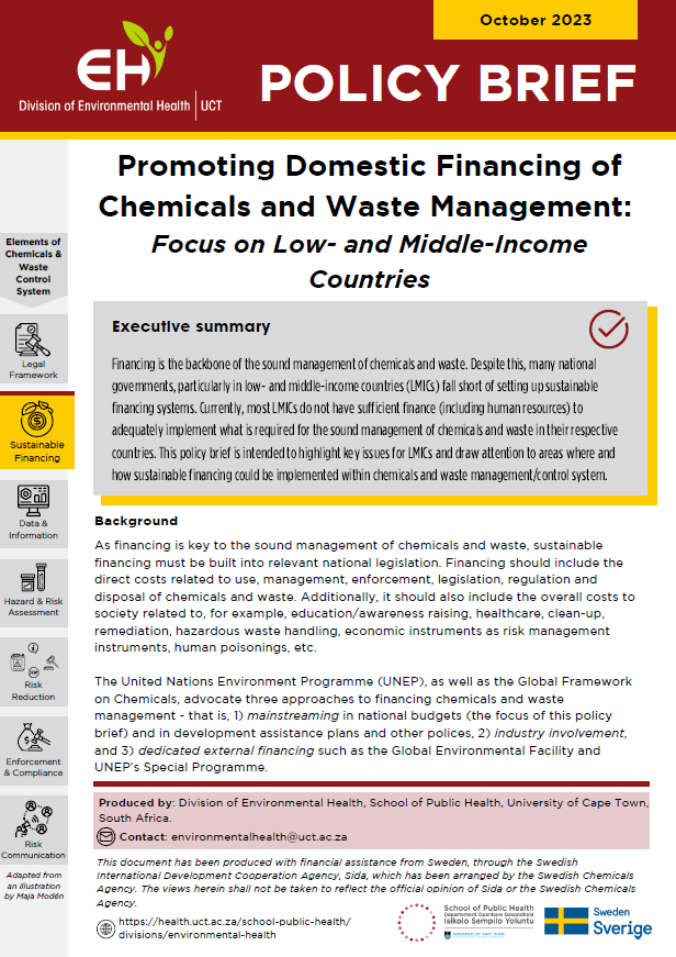 Policy Brief - Domestic financing