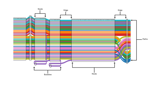 Pangenomes fig 1