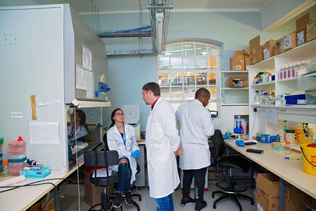 Tom Scriba Pia Steigler