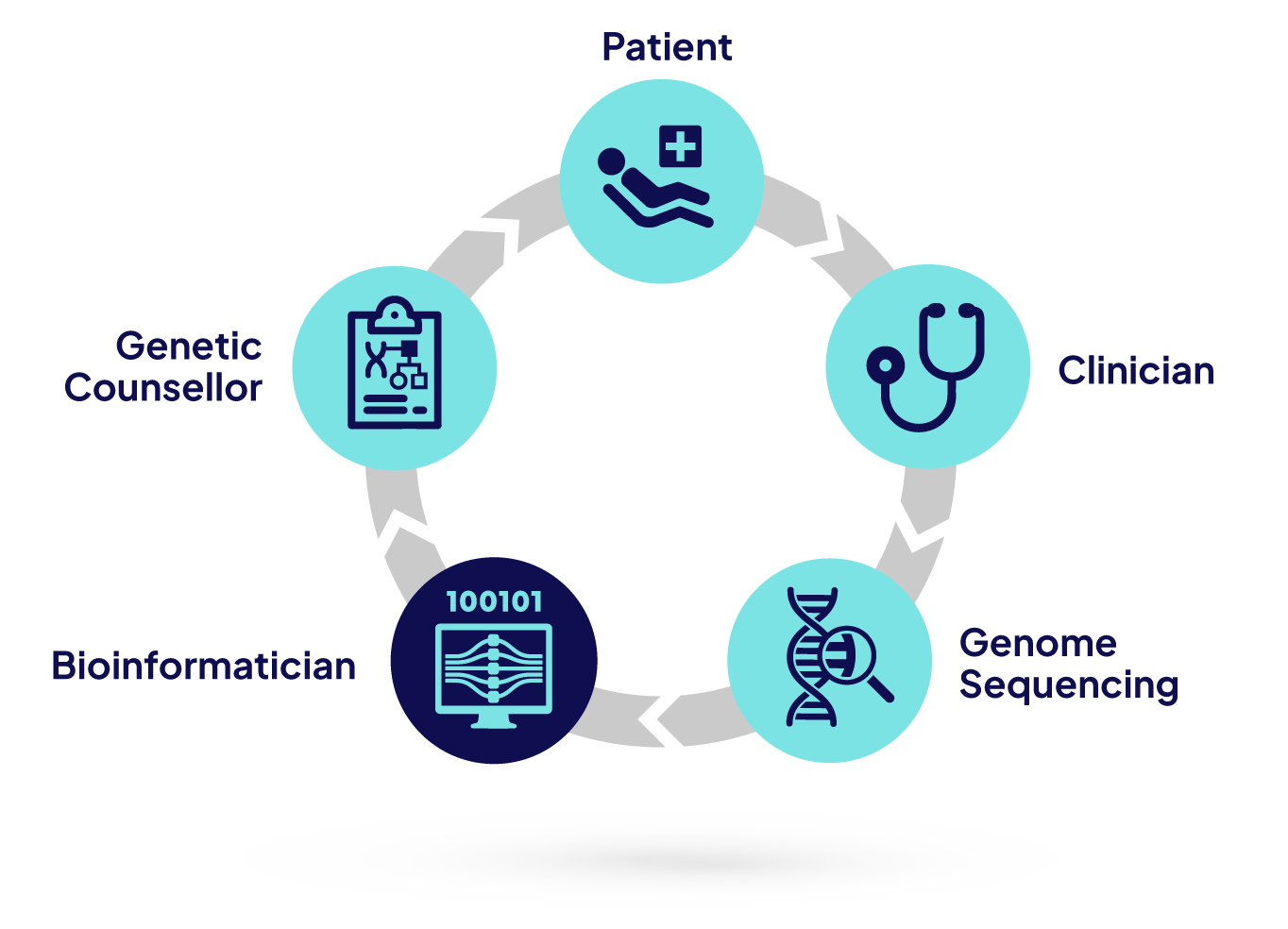 Circular graphic displaying the COIN workflow from patient to clinician to genome sequencing to biotechnician to genetic councilor to patient