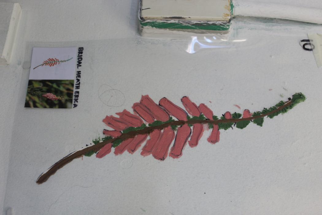 BME SRC community outreach