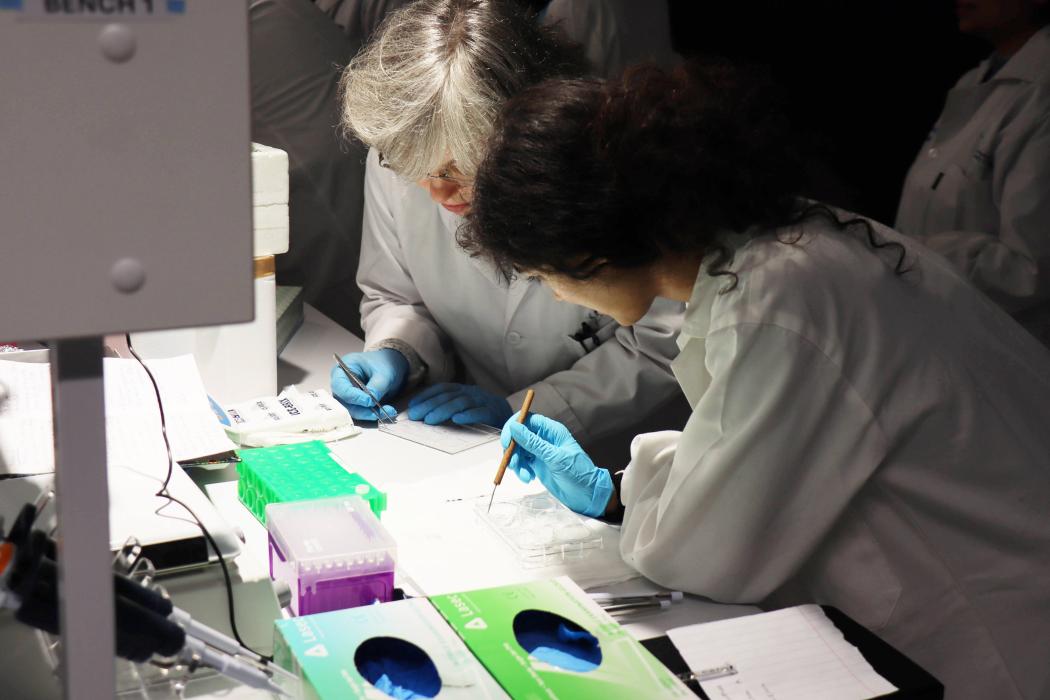 Researchers on a lab bench