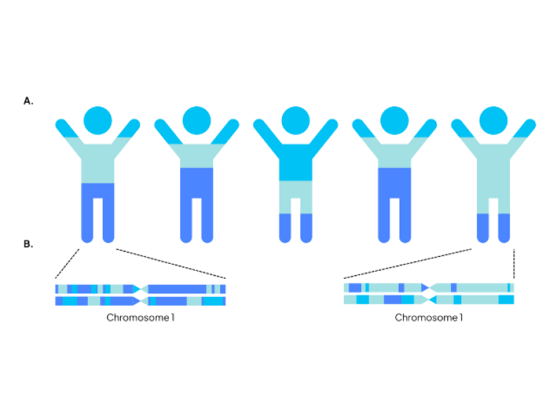 Ancestry Aware Research fig 1