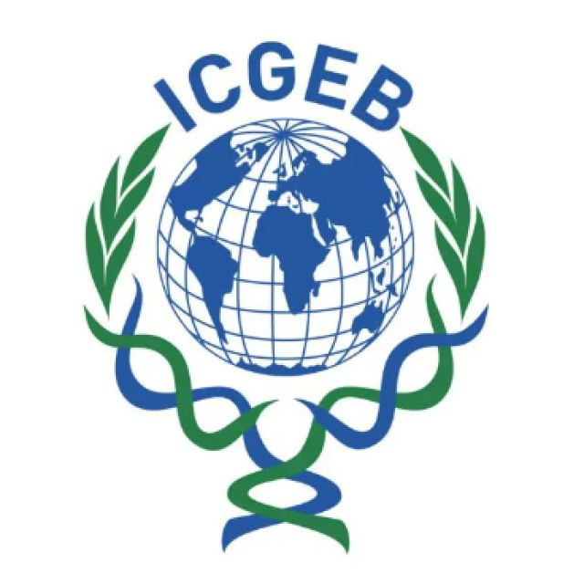 ICEGB