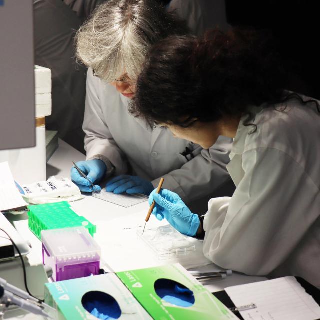 Researchers on a lab bench