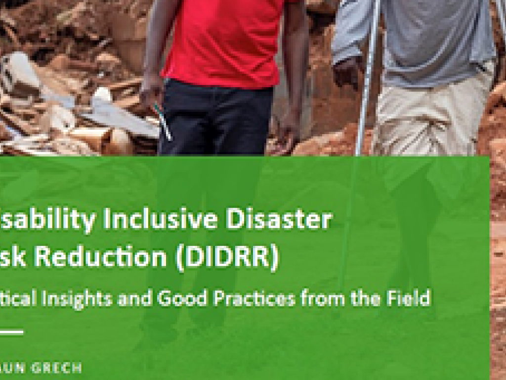 Disability Inclusive Disaster Risk Reduction at the Global Platform: Critical Insights and Good Practices from the Field 