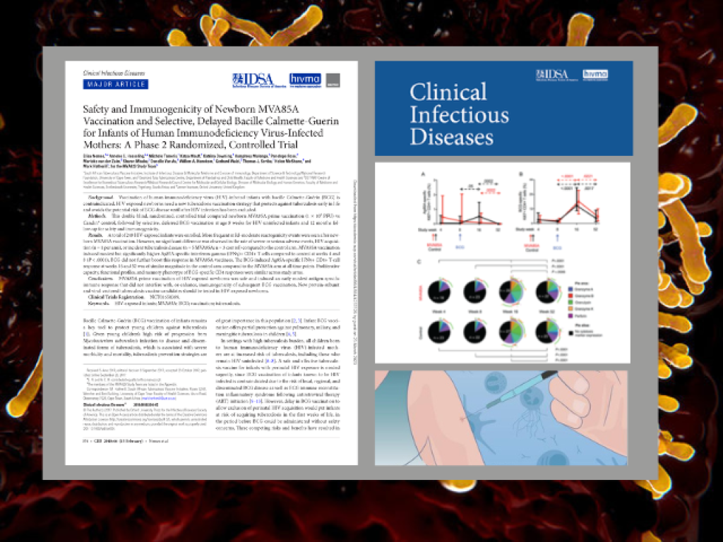 Safety Immun study MVA 85 vaccine