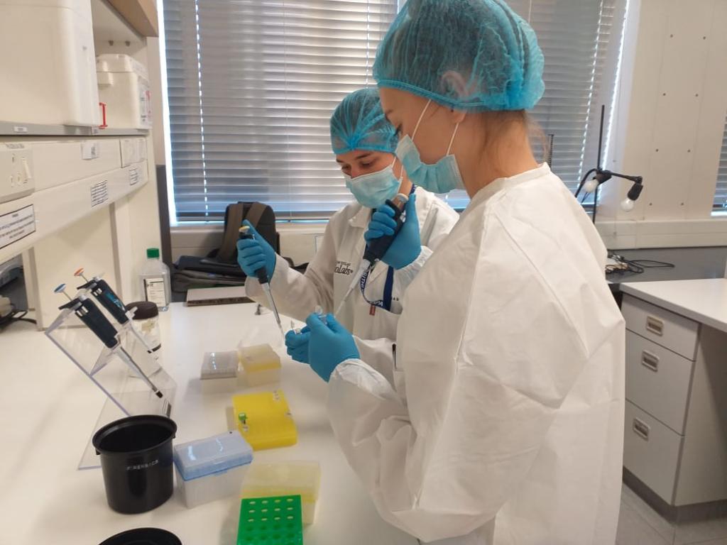 DNA Extraction from hard tissue samples