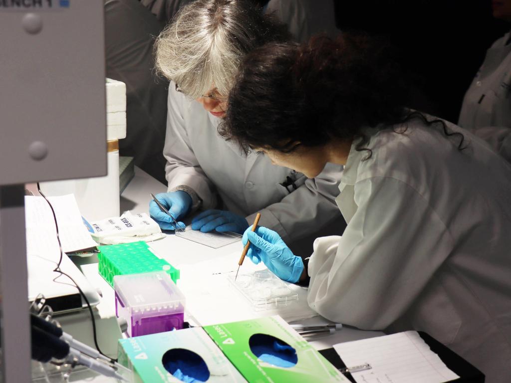 Researchers on a lab bench
