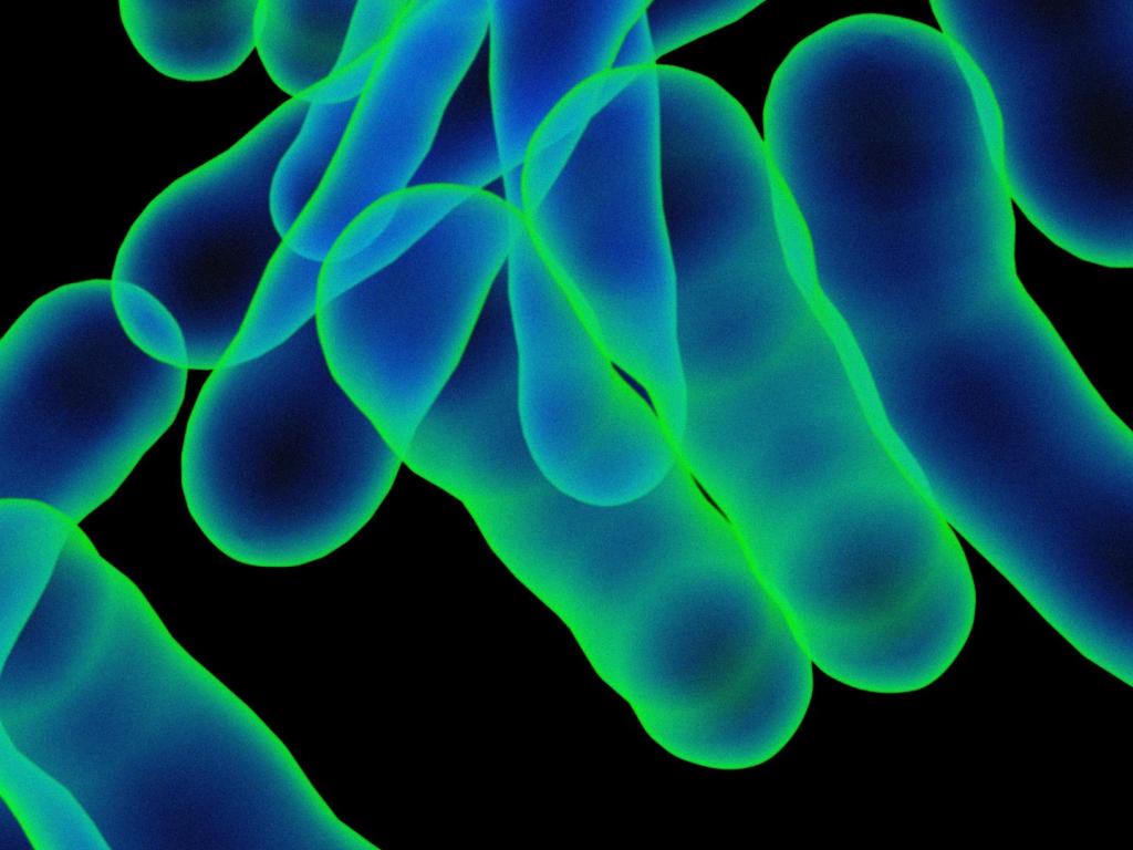 Vaccination Against Tuberculosis With Whole-Cell Mycobacterial Vaccines 